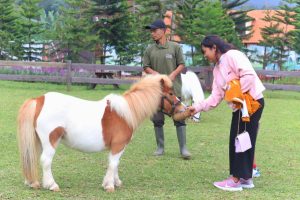 Bali Farm House, Destinasi Wisata Baru di Buleleng Komitmen Dukung PAD dan Serap Tenaga Lokal