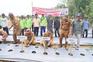 Tekan Inflasi, Banyuasin Ikut Gerakan Tanam Serentak Cabai dan Bawang Merah