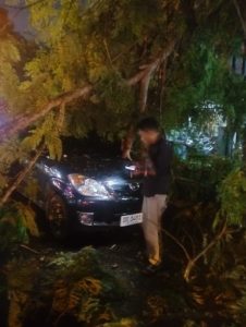 Respon Cepat, Polsek Mataram Tangani Pohon Tumbang dan Urai Kemacetan di Jalan Sriwijaya